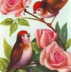 Meet your Posher, Jojo